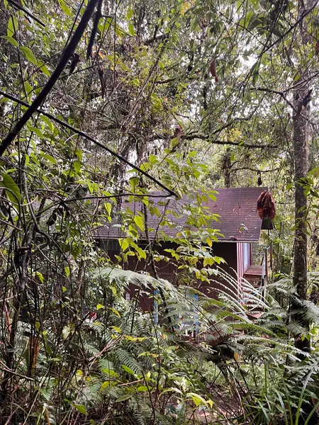 Cabaña La Esperanza Bird Lodge