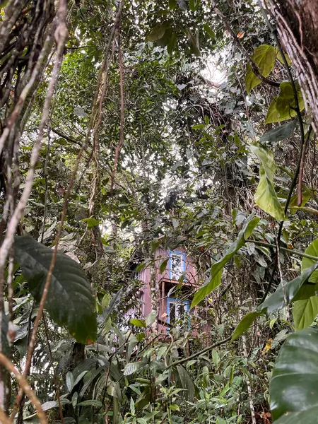 Cabaña La Esperanza Bird Lodge