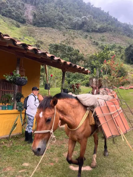 Jardín- Buenos Aires (un paraíso escondido en las montañas de Antioquia)